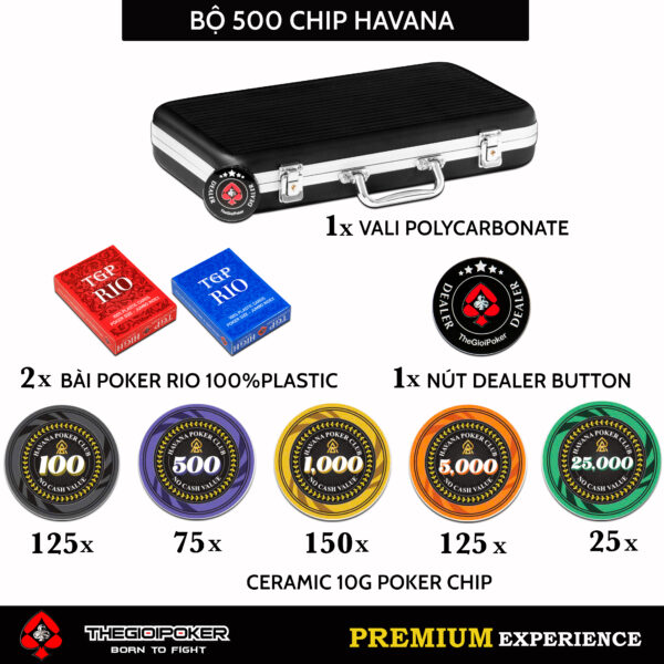 bo-chip-HAVNA-500